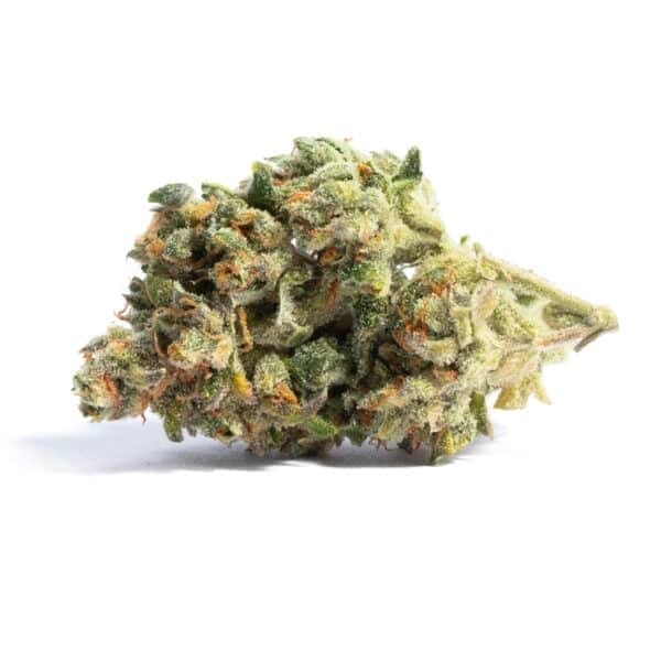 Acapulco Gold Feminised Seeds