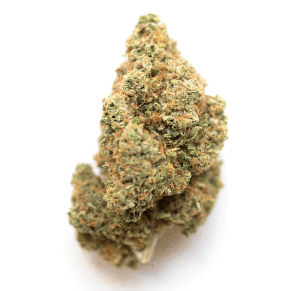 Painkiller XL CBD Feminised Seeds