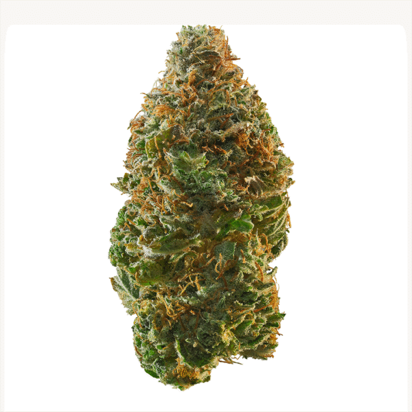 Acid Dough Feminised Seeds
