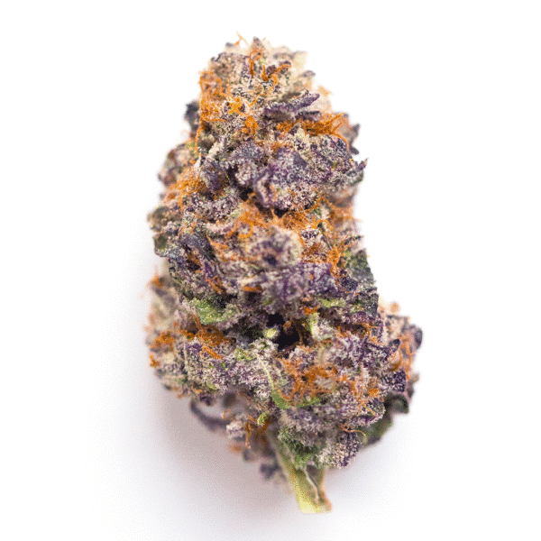 Amnesia Zkittlez Auto Feminised Seeds