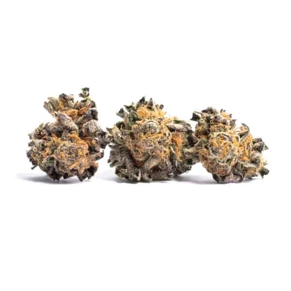 Animal Zookies Feminised Seeds