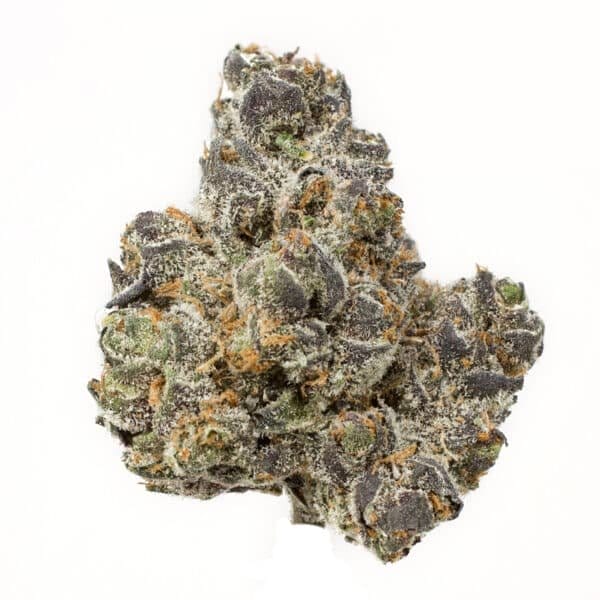 Apple Fritter Feminised Seeds