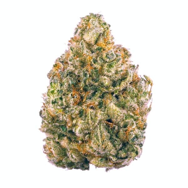 Apple Strudel Auto Feminised Seeds