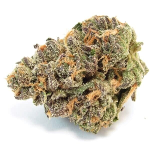 Zoap x Baja Blast Feminised Seeds