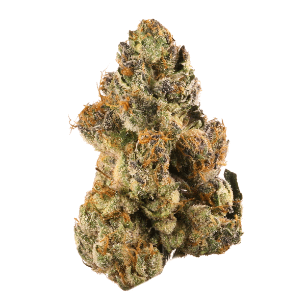 Bakers Delight Auto Feminised Seeds