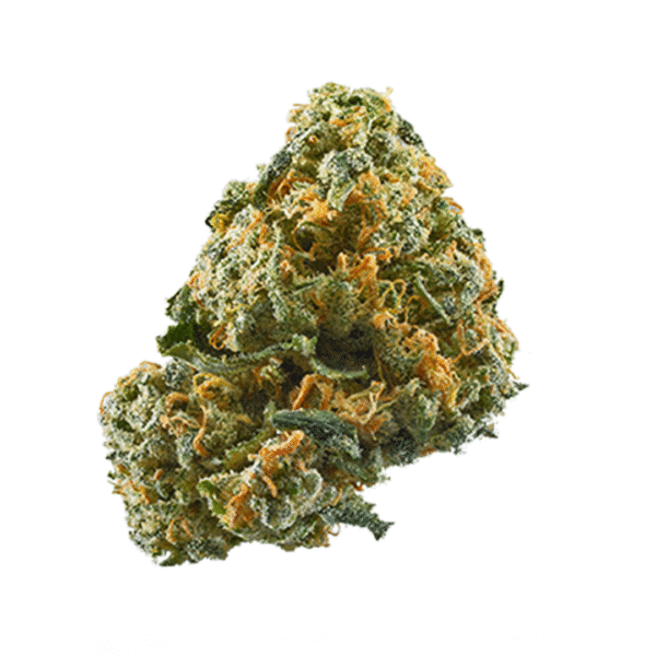 Ball 'n' Chain Feminised Seeds