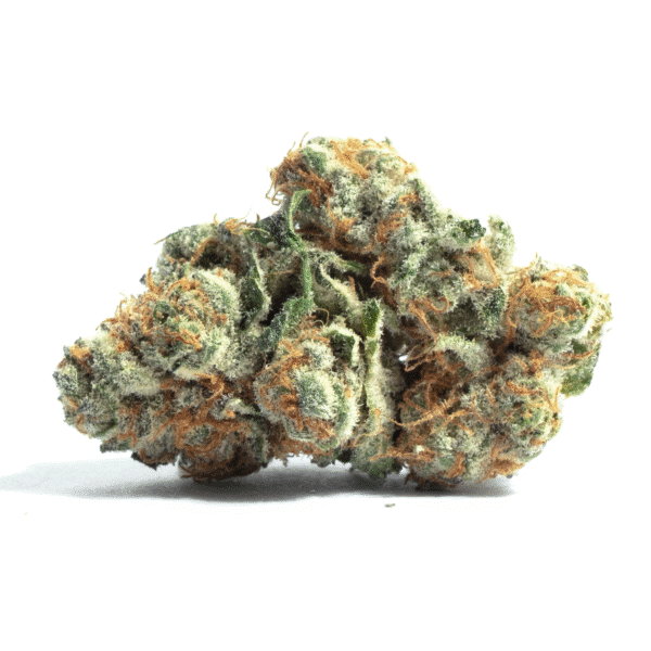 Banana Cake Feminized Seeds