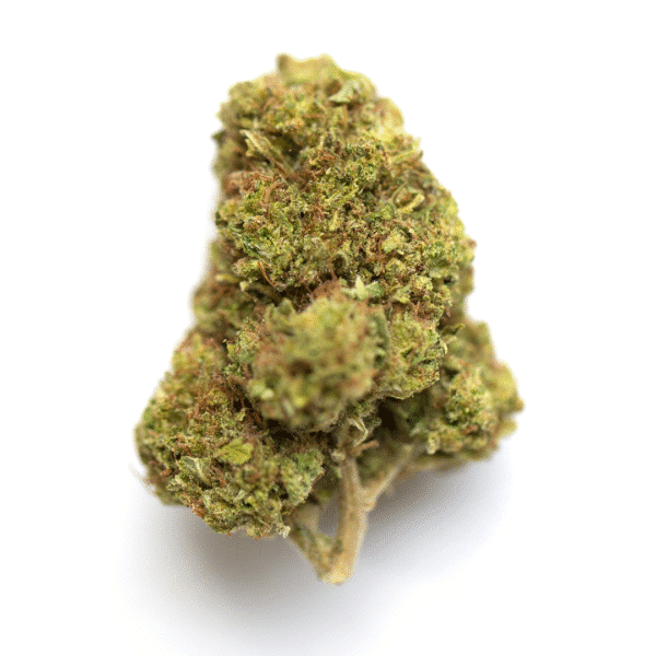 Banana Sorbet Feminised Seeds (Sorbet Collection)