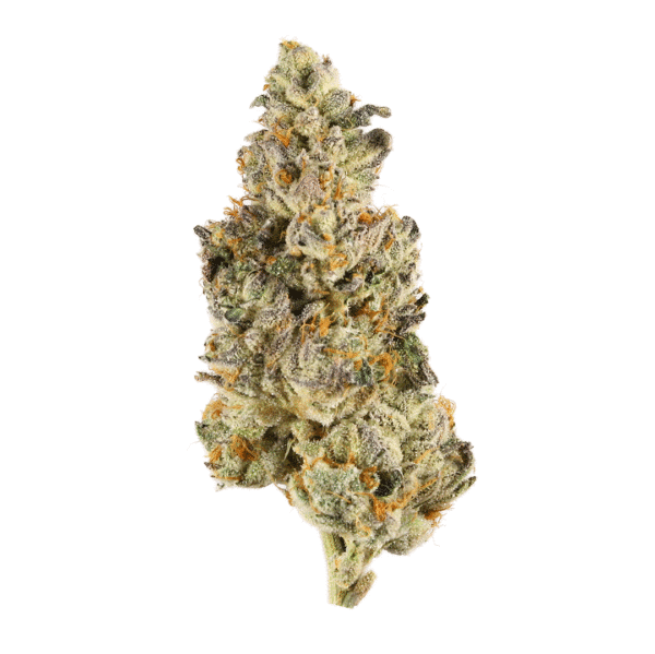 Banana Split Regular Seeds
