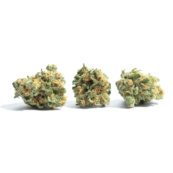 Black Toffee Auto Feminised Seeds