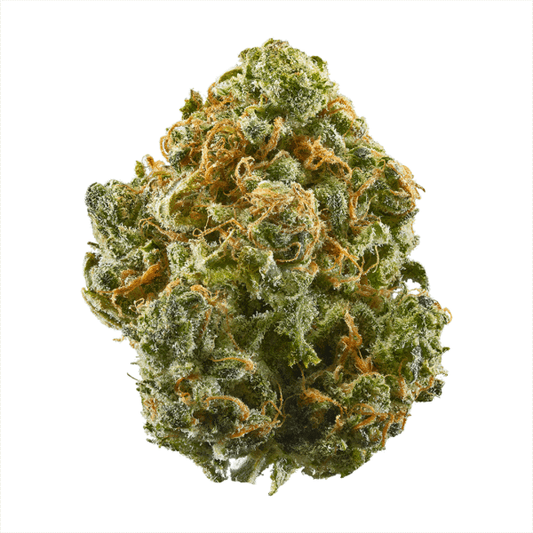 Blue Dream Auto Feminised Seeds