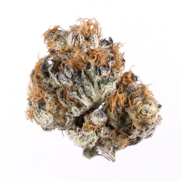 Blueberry Auto Feminised Seeds