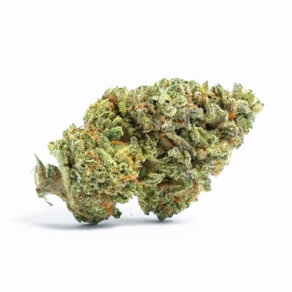 Blueberry Cheese Auto Feminised Seeds