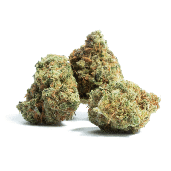 Bruce Banger Fast Feminised Seeds