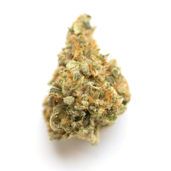Bubba's Gift Feminised Seeds