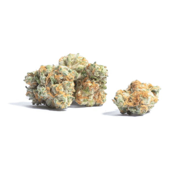 Candy Bubatz XL Auto Feminized Seeds