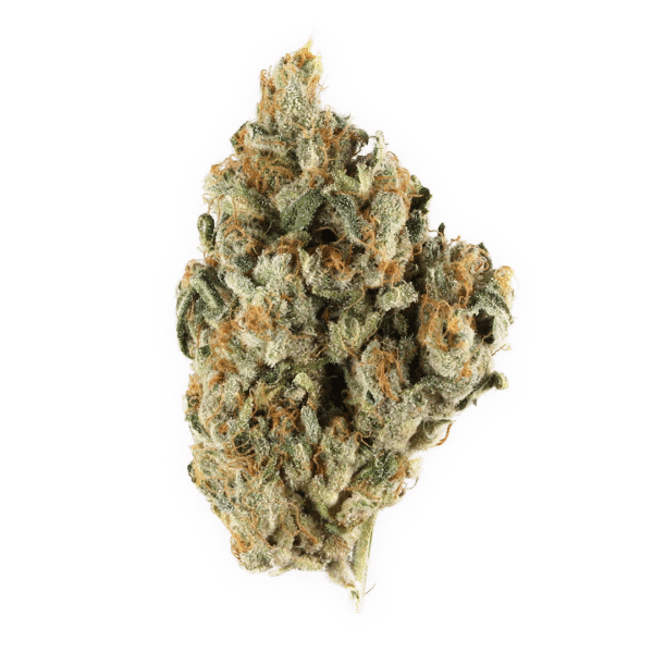 Caramel CBD Regular Seeds