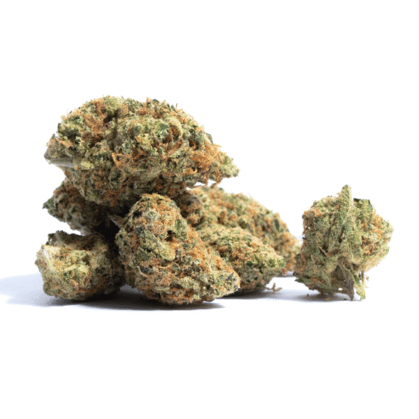 Critical Lemon FAST Feminised Seeds