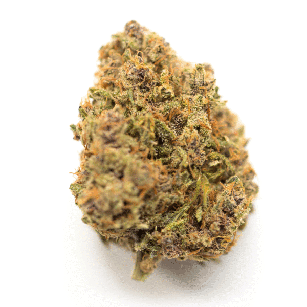 Critical Mass Auto Feminised Seeds