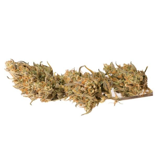 Crystal Candy XL Auto Feminised Seeds
