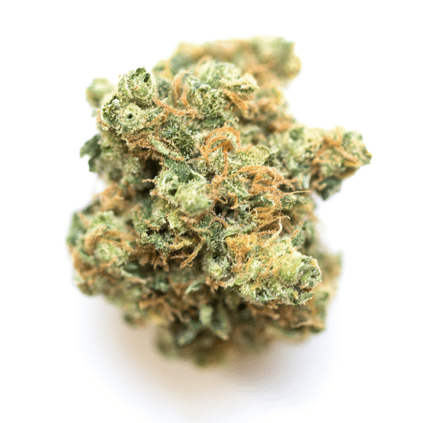 Crystal METH Auto Feminised Seeds