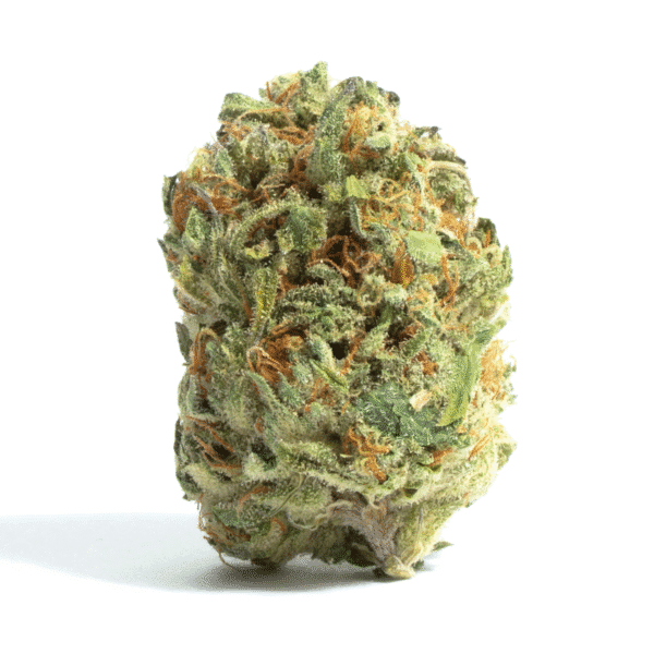 Dedoverde Haze Feminised Seeds