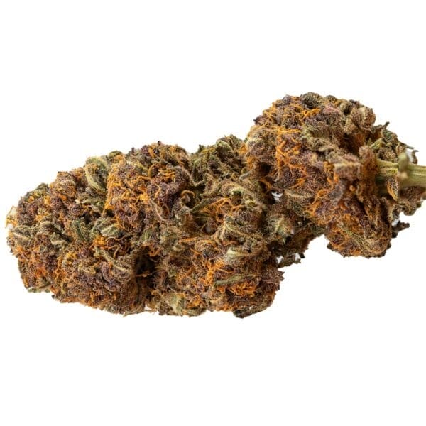 Diablo Rojo XL Auto Feminised Seeds