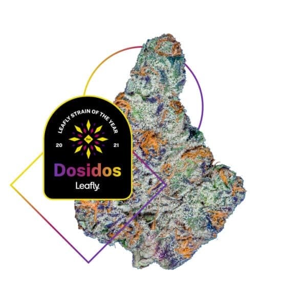 Dosidos FAST Feminised Seeds
