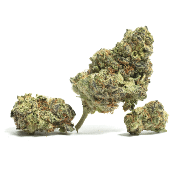 Everglades OG Auto Feminised Seeds