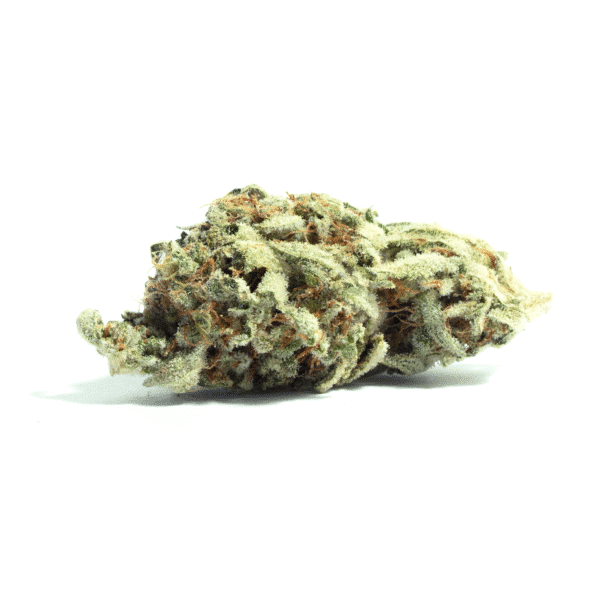 Fat Banana Auto Feminised Seeds