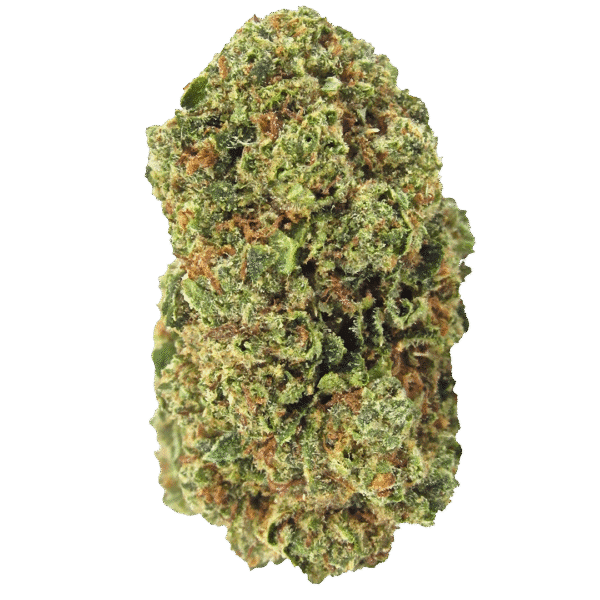 Affie OG Regular Seeds