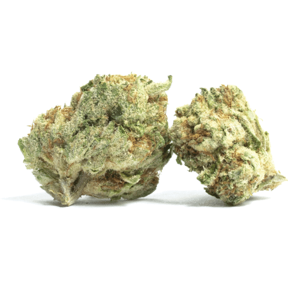 Flo Fusion ABC Regular Seeds