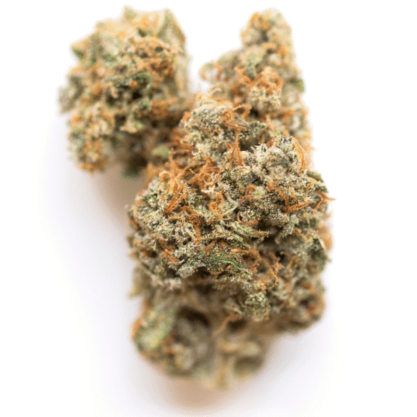 Frisian Dew Feminised Seeds