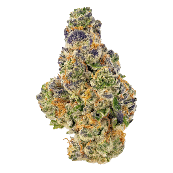 Frisian Duck Feminised Seeds
