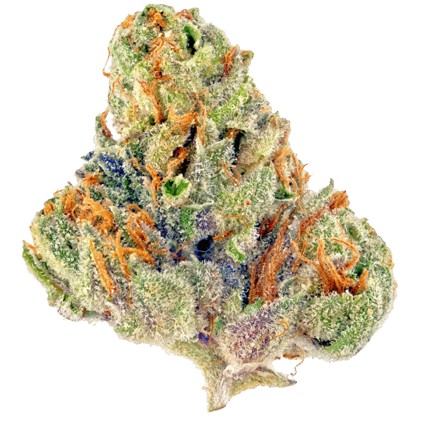 Frosty Melons Feminised Seeds