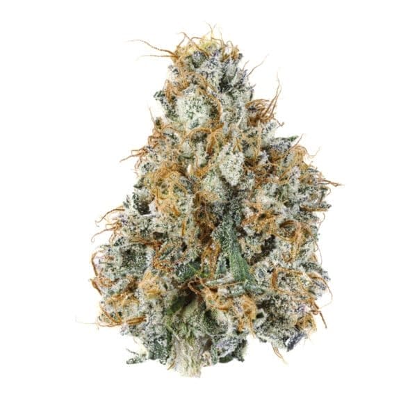 Gary Payton S1 Feminised Seeds
