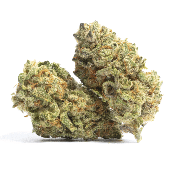 Overtime Feminised Seeds