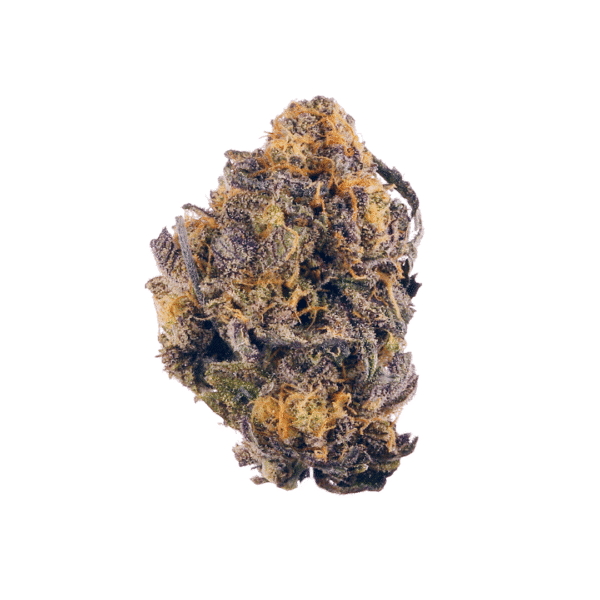 Kongzilla Feminised Seeds