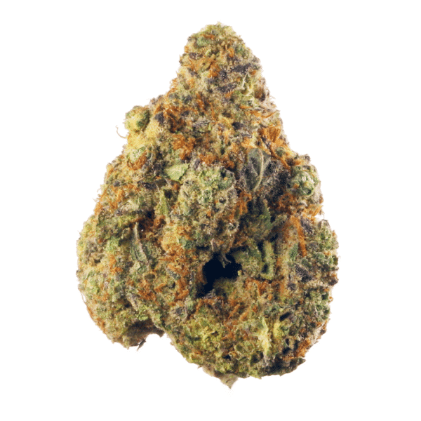 Golden Sands Feminised Seeds
