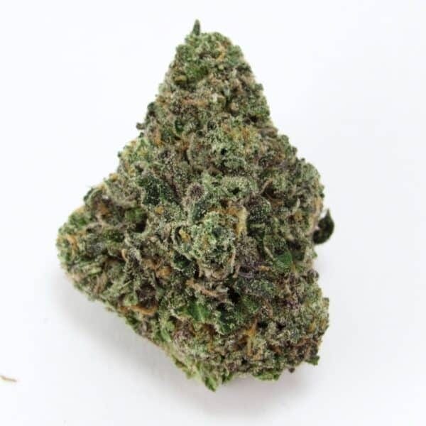 Goofiez�� Feminised Seeds