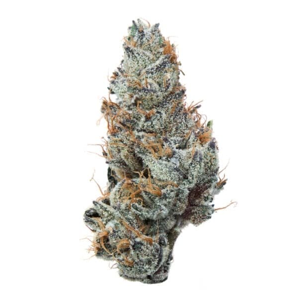 Grape Ape Auto Feminised Seeds