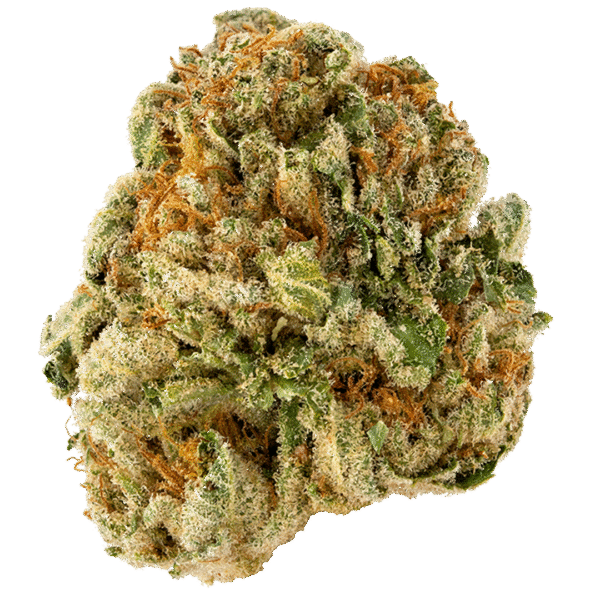 Grapes 'n' Cream FAST Feminised Seeds