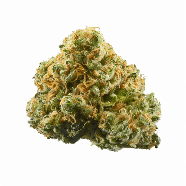 HulkBerry Feminized Seeds