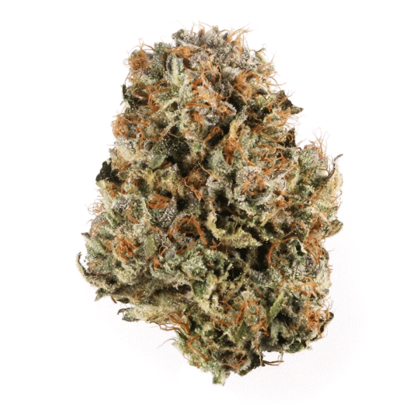 Trichome & Cream Auto Feminised Seeds