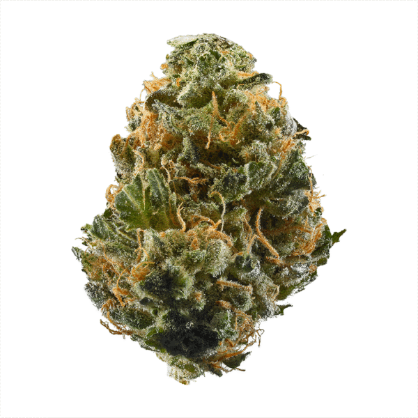 Original BubbleGum Auto Feminised Seeds
