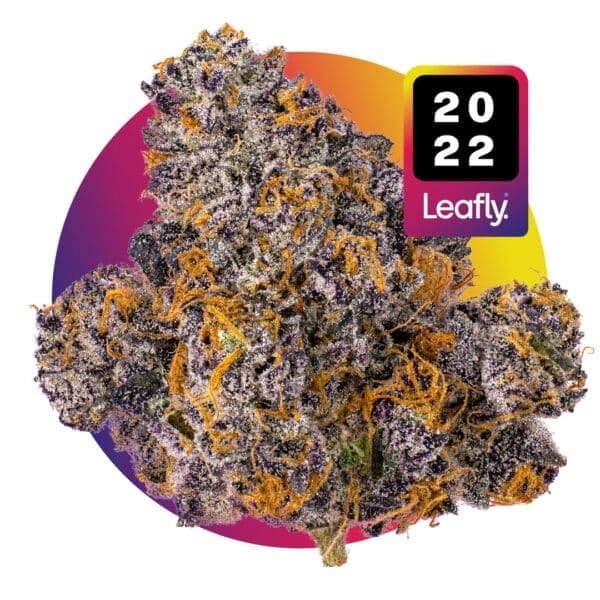 Jealous Mary Auto Feminised Seeds