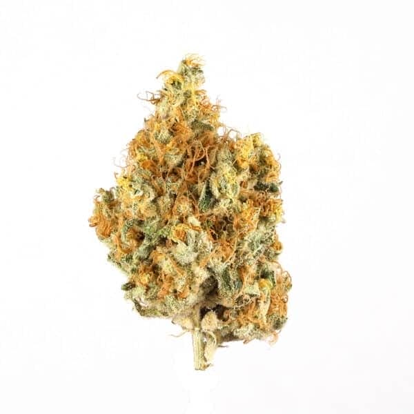 Lemon AK Auto Feminised Seeds