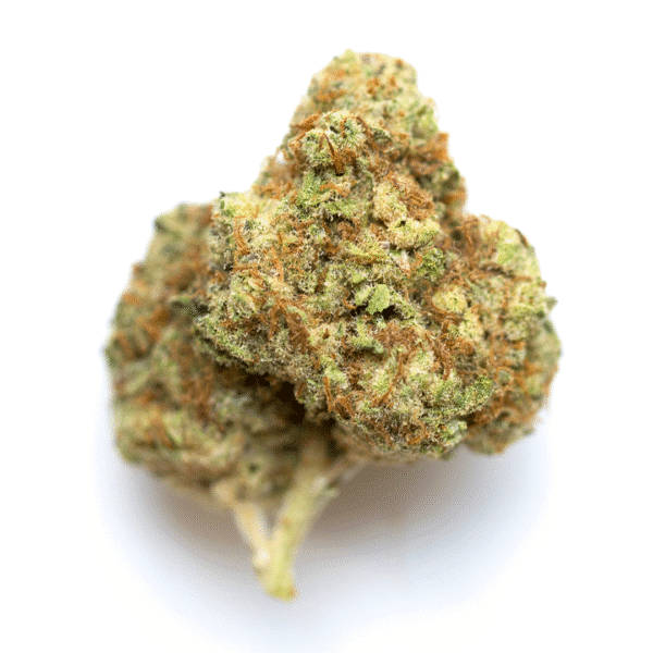 Neon Cowgirl Fast Feminised Seeds