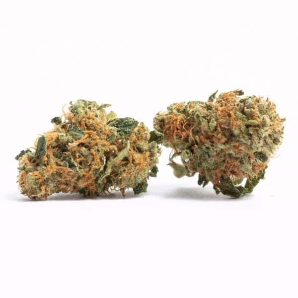 Liberty Haze Feminised Seeds