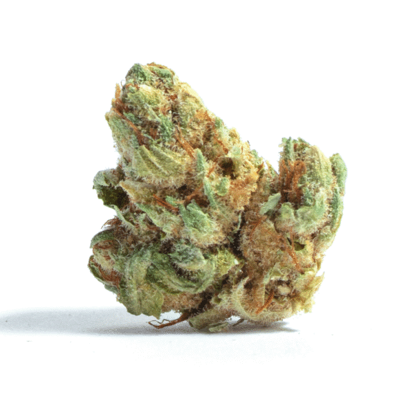 Malawi Feminised Seeds
